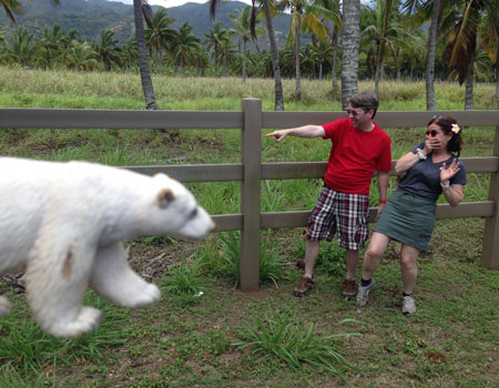 oahu tours